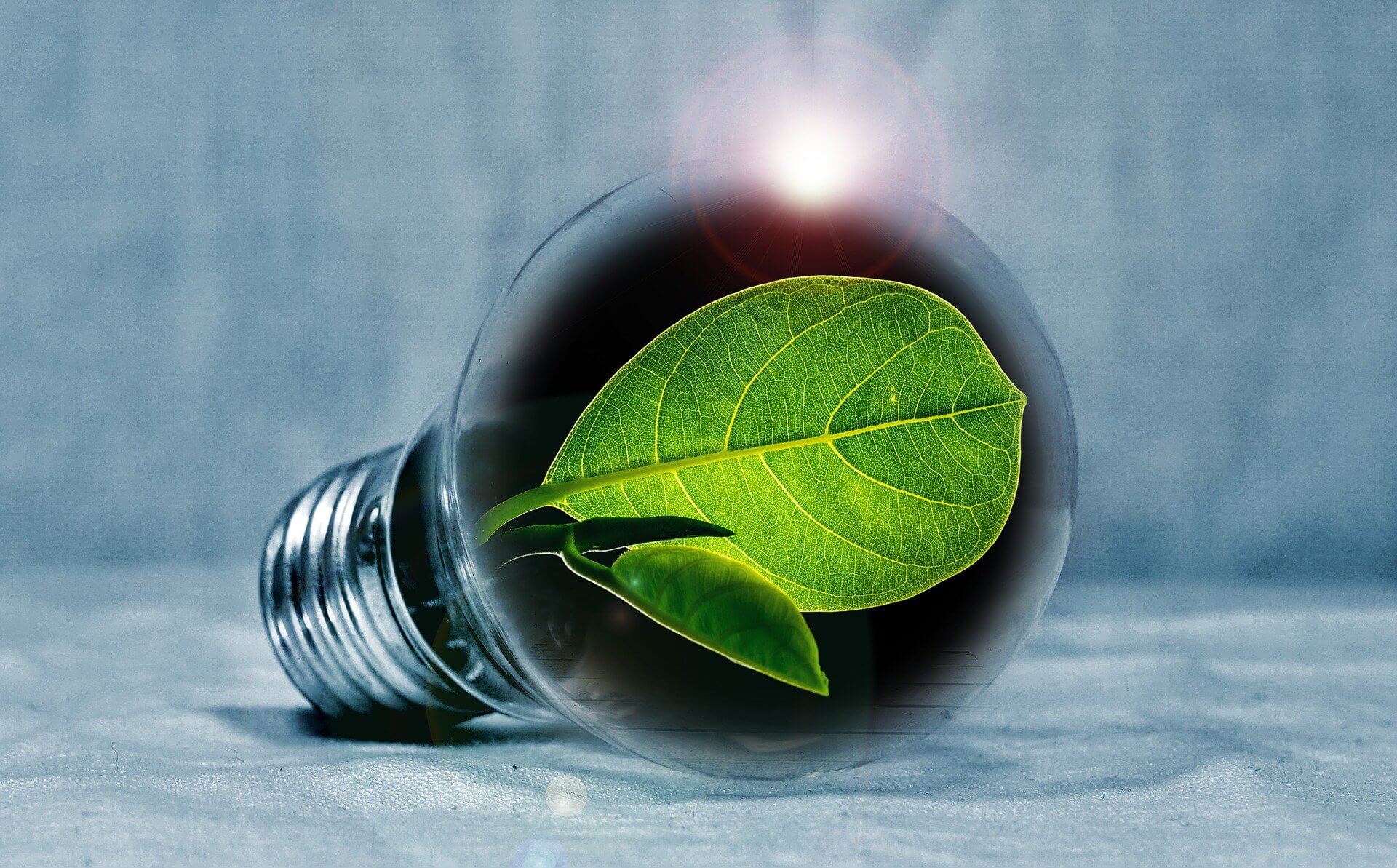Green Retrofitting and Sustainability